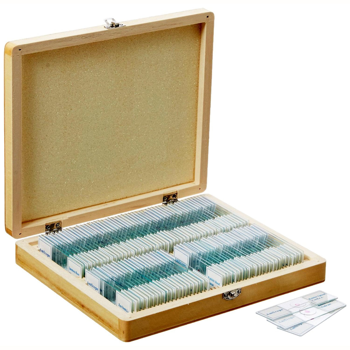 AmScope PS100A Prepared Microscope Slide Set, 100 Slides Set A